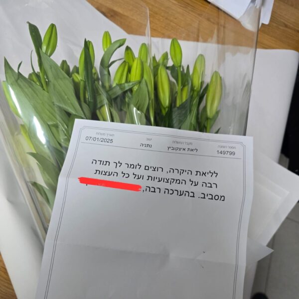 המלצה 2